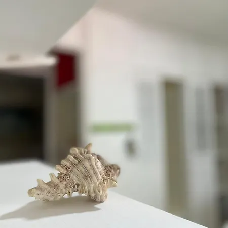 Casa Turística De Indias *